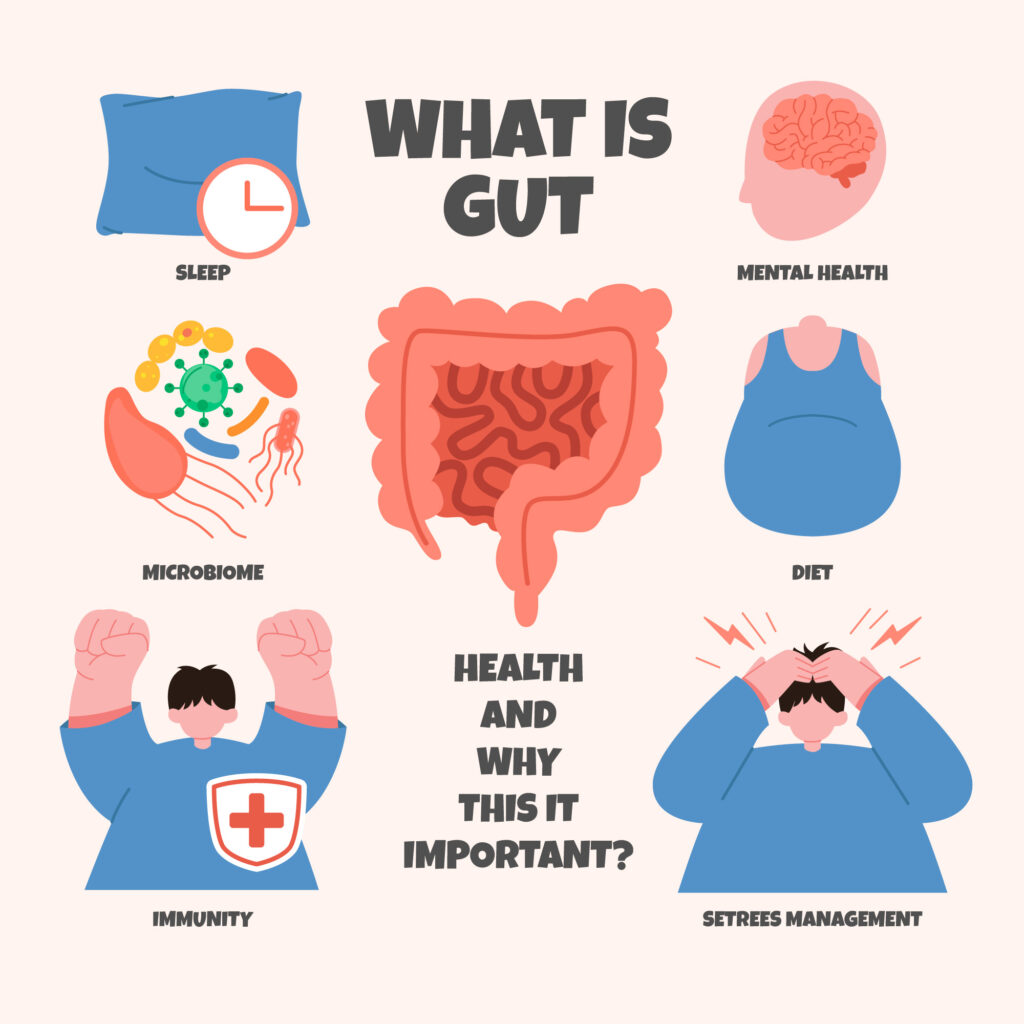 Gut Health